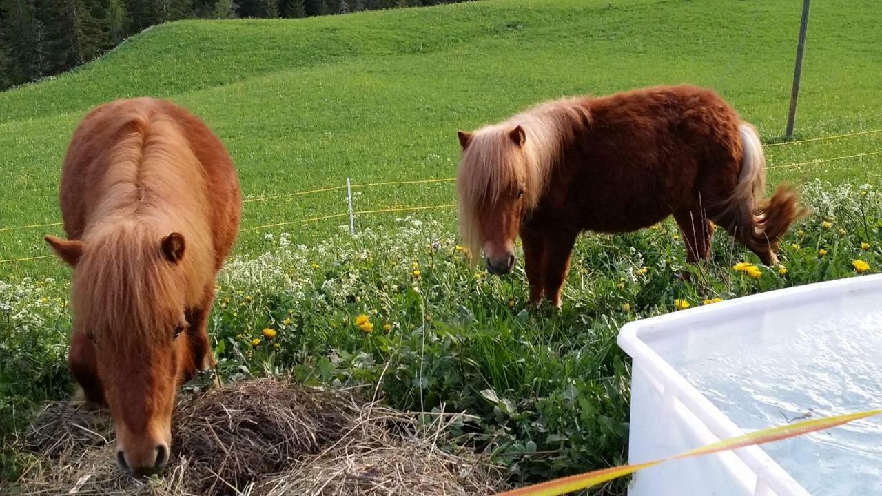 Luech Da Spescia Villa La Valle Kültér fotó