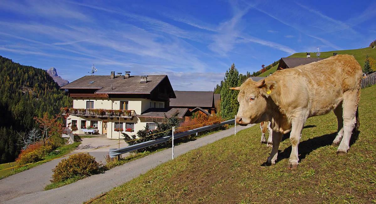 Luech Da Spescia Villa La Valle Kültér fotó